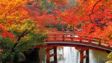 Vacation destination 6